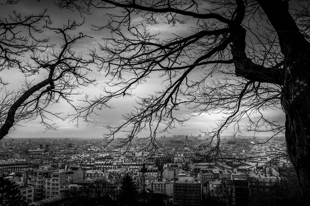 City Veins